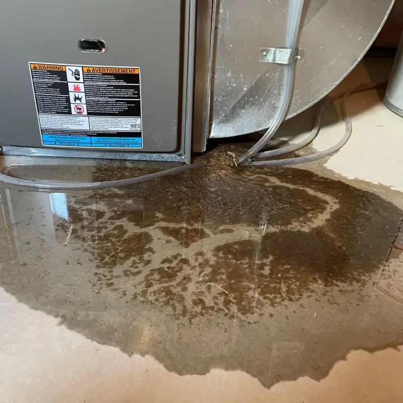 Appliance Leak Cleanup in Teton County, WY