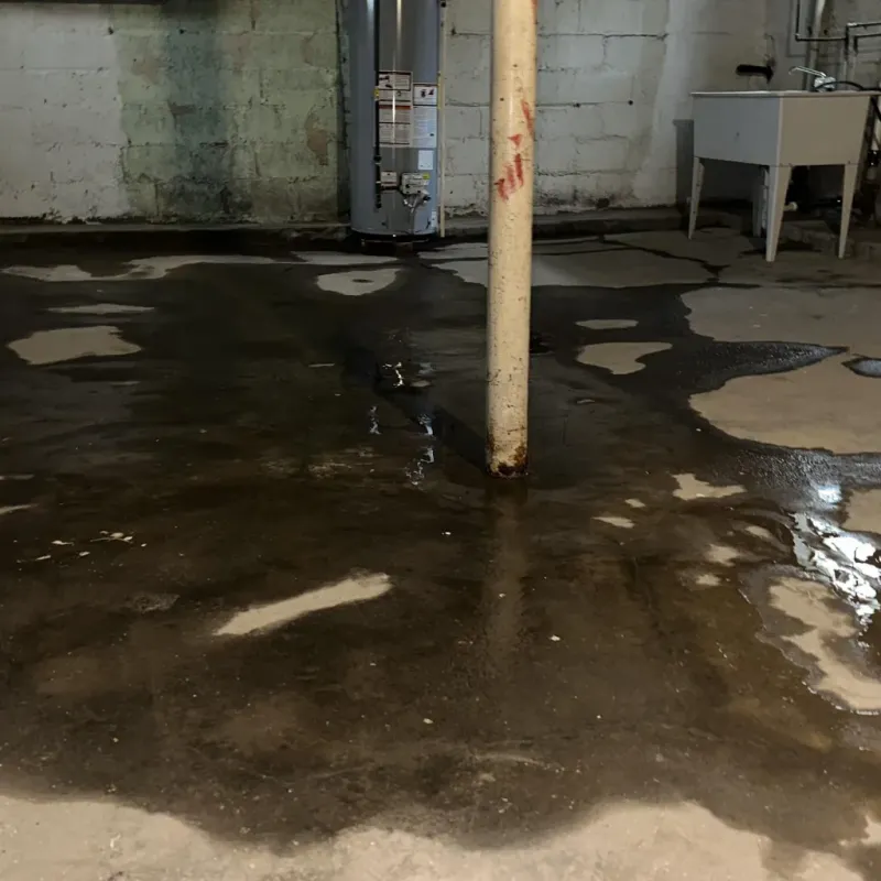 Emergency Water Extraction And Removal in Teton County, WY